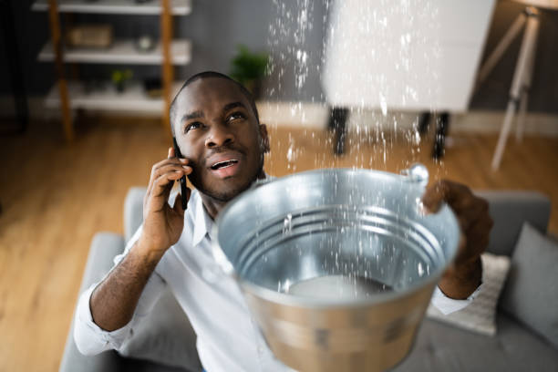 Best Water damage repair service  in Cottage Grove, WI