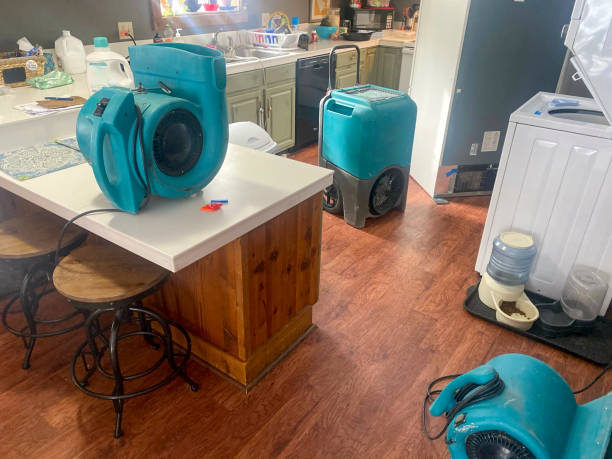 Best Mold removal after water damage  in Cottage Grove, WI