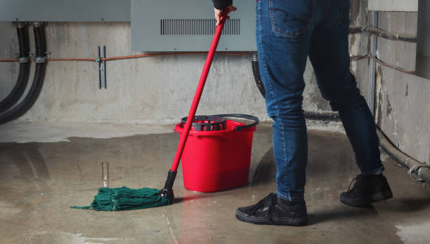  Cottage Grove, WI Water damage restoration Pros