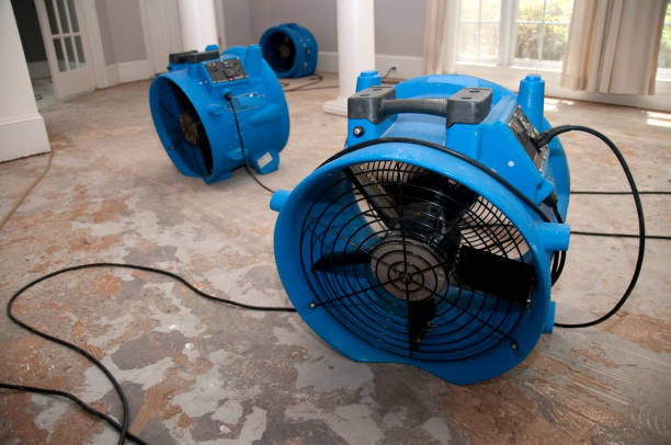 Reliable Cottage Grove, WI Water damage restoration Solutions