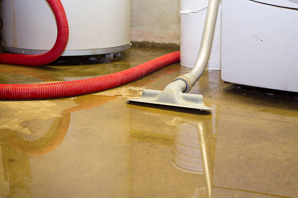 Best Professional water damage repair  in Cottage Grove, WI
