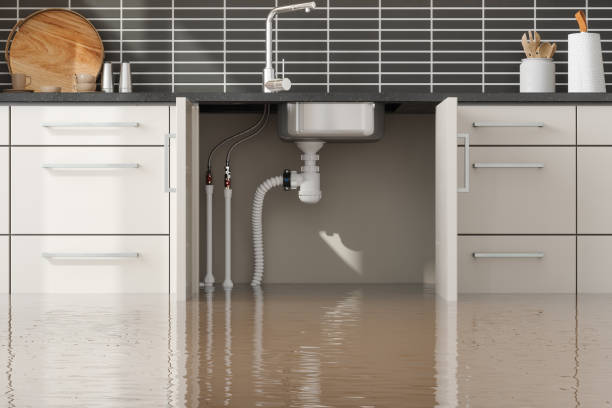 Best Basement water damage restoration  in Cottage Grove, WI