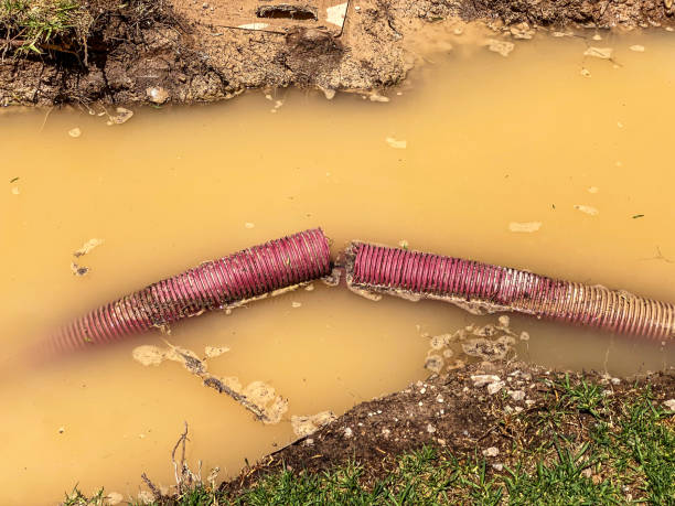 Best Carpet water damage restoration  in Cottage Grove, WI