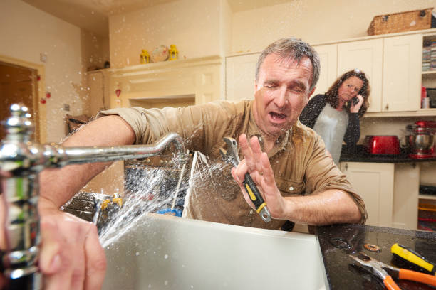 Best Water damage cleanup near me  in Cottage Grove, WI